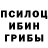 Галлюциногенные грибы ЛСД Haise Remake
