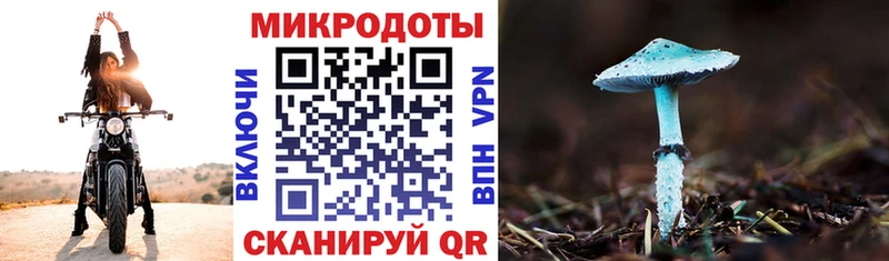 где купить   Павлово  Псилоцибиновые грибы ЛСД 