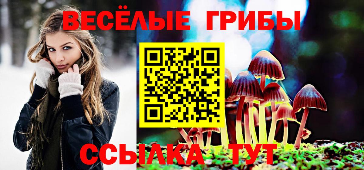 Павлово  Псилоцибиновые грибы мухоморы  где можно купить наркотик  Вход с VPN 