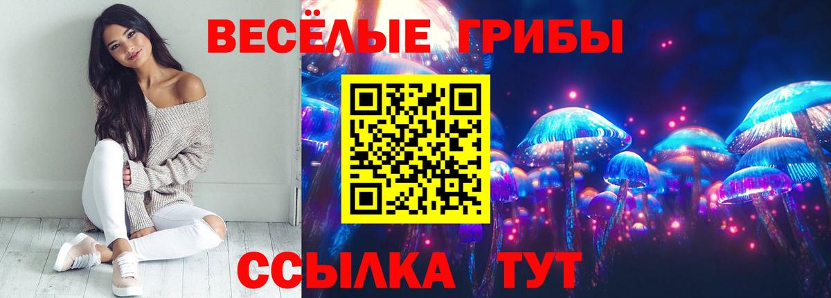 Псилоцибиновые грибы MAGIC MUSHROOMS Павлово