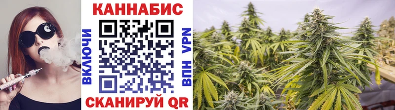 цена   Павлово  Бошки марихуана план 